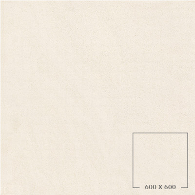SP6501T