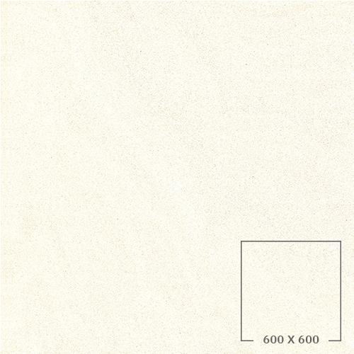 SP6500T