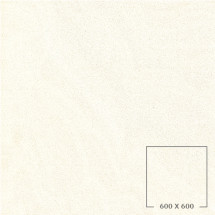 SP6500T