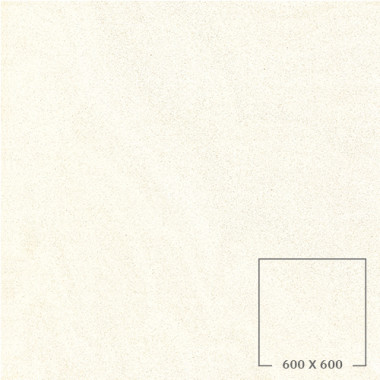 SP6500T
