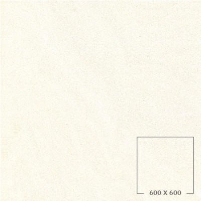 SP6500T