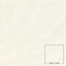 SP6500M