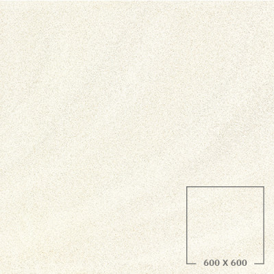 SP6500M