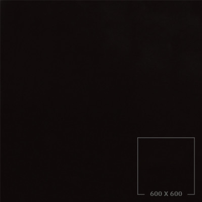 POLISHED 6300