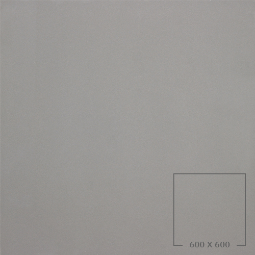 POLISHED 6101