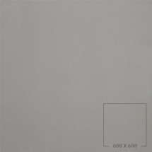 POLISHED 6101