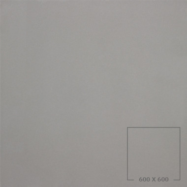 POLISHED 6101