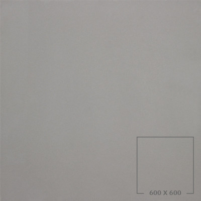 POLISHED 6101