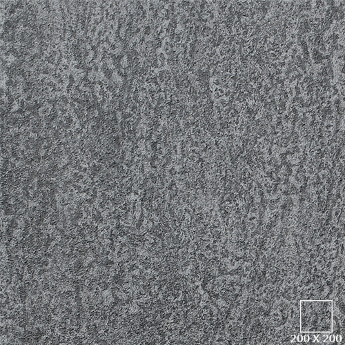 VG2205