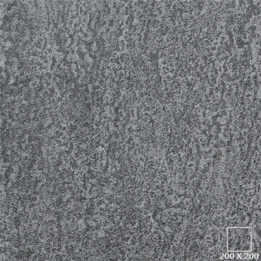 VG2205