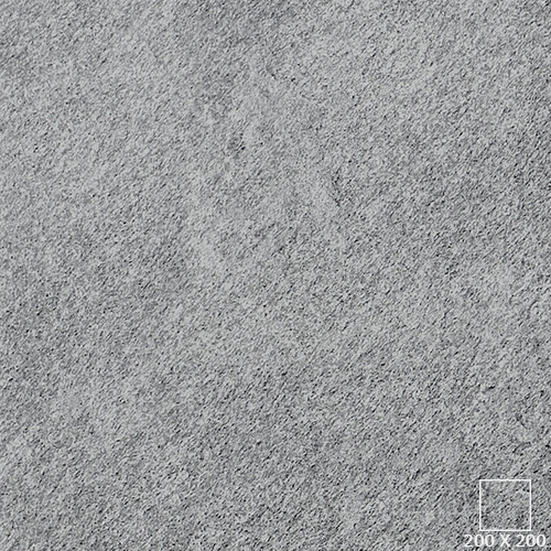 VG2204