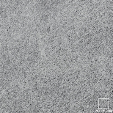 VG2204