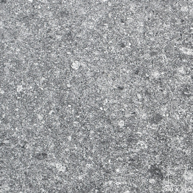 VG2202