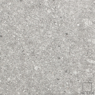 VG2201