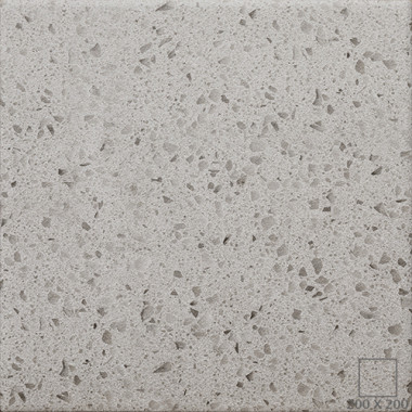 VG2224