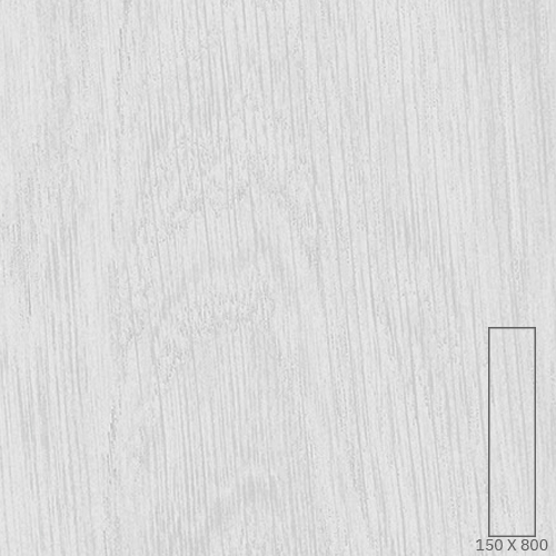 T81534
