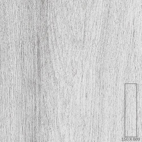 81501E