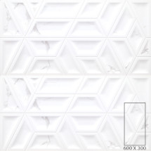 TERRIER BIANCO