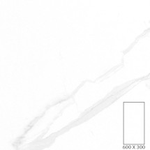 WT3606