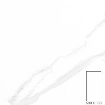 WT3606