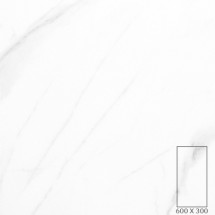 T6026A