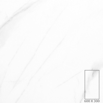 T6026A