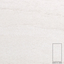 WT3604