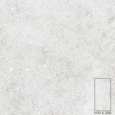 WT3625