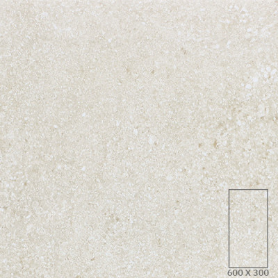 WT3629