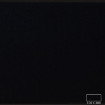 WT1305P