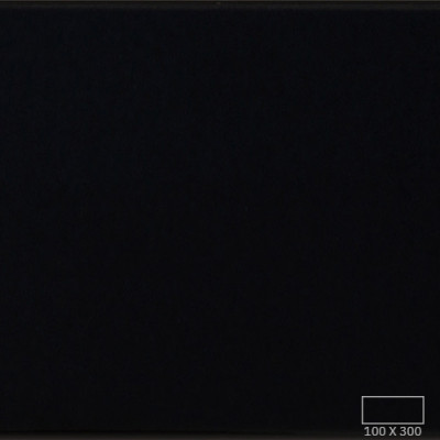 WT1305P