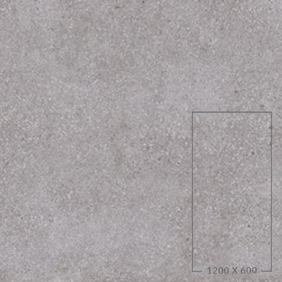 WIT GREY