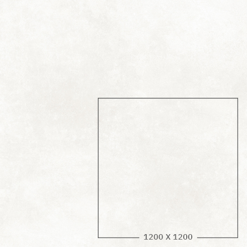 ICON WHITE