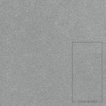 APP601205