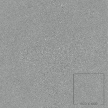APP6005