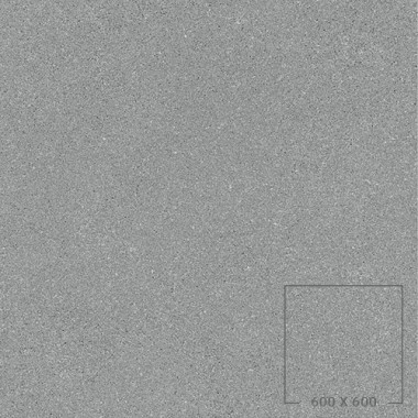 APP6005