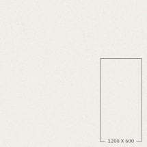 APP601201