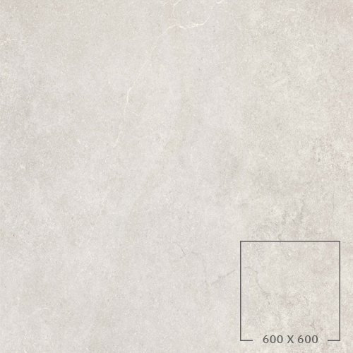 HOG60040