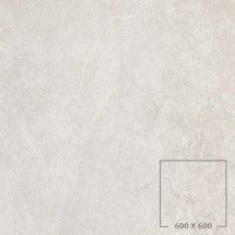 HOG60040
