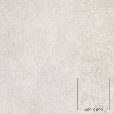HOG60040
