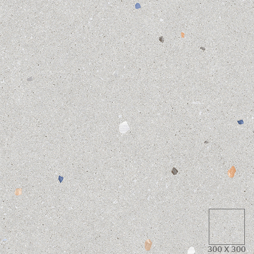 DFJ 4579