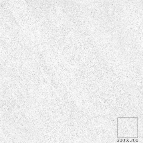 BT-S01