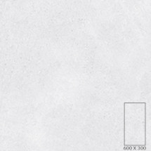 EM2691T