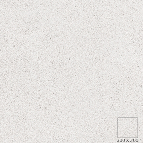 TFF - 4543Q