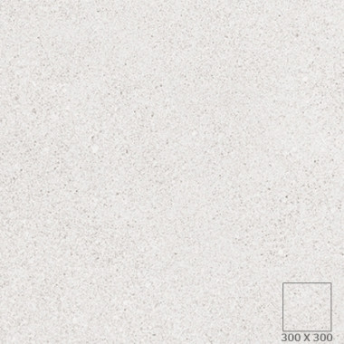 TFF - 4543Q