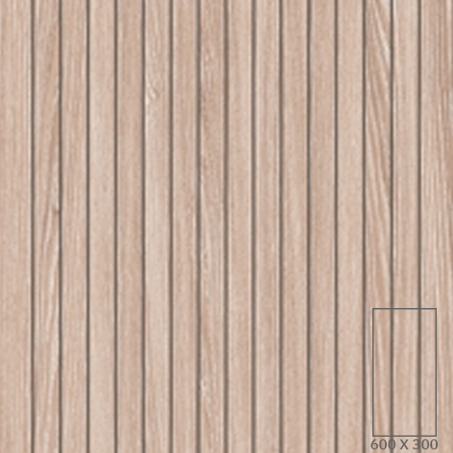 Y9144