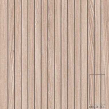 Y9144